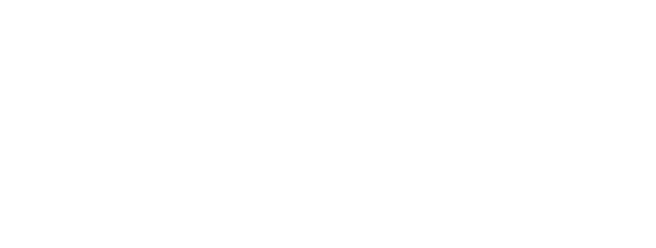 Main Logo